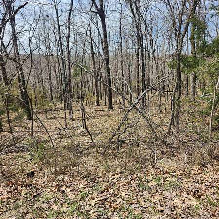 0.29 Acres of Residential Land for Sale in Cherokee Village, Arkansas
