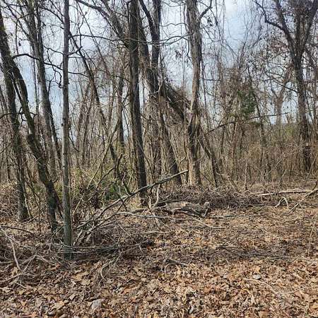 0.15 Acres of Residential Land for Sale in Cherokee Village, Arkansas