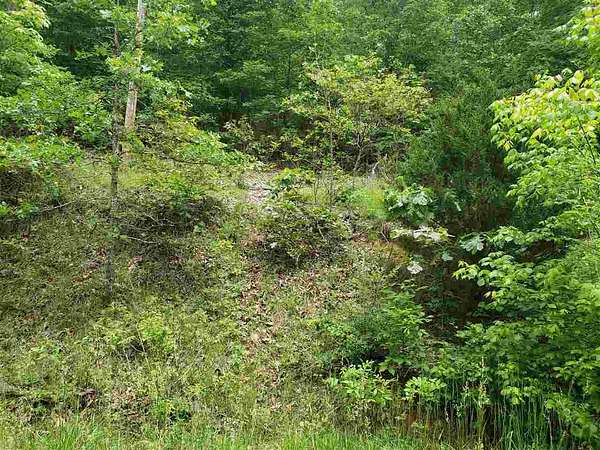 0.5 Acres of Residential Land for Sale in Cherokee Village, Arkansas