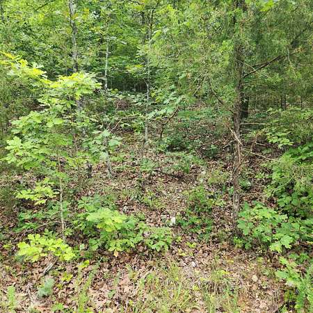 0.42 Acres of Residential Land for Sale in Cherokee Village, Arkansas