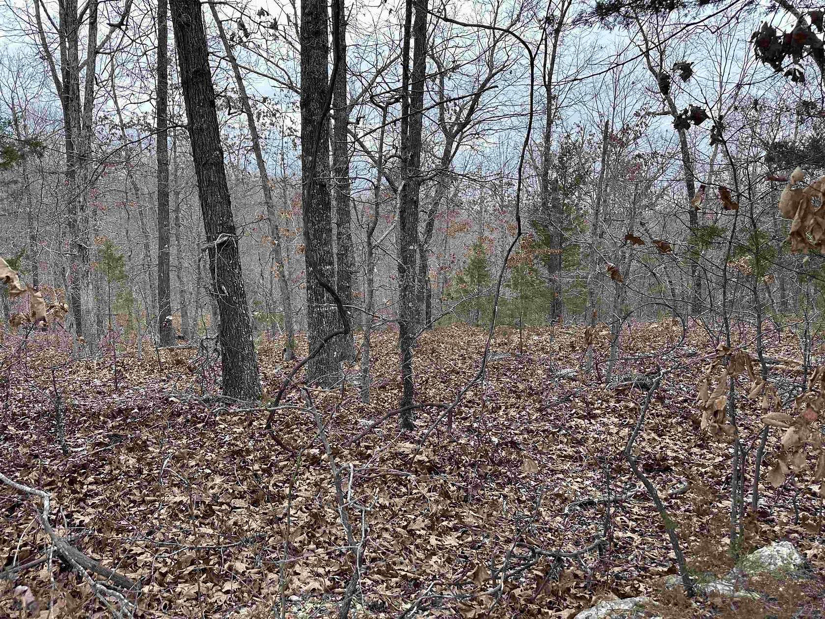0.23 Acres of Residential Land for Sale in Cherokee Village, Arkansas