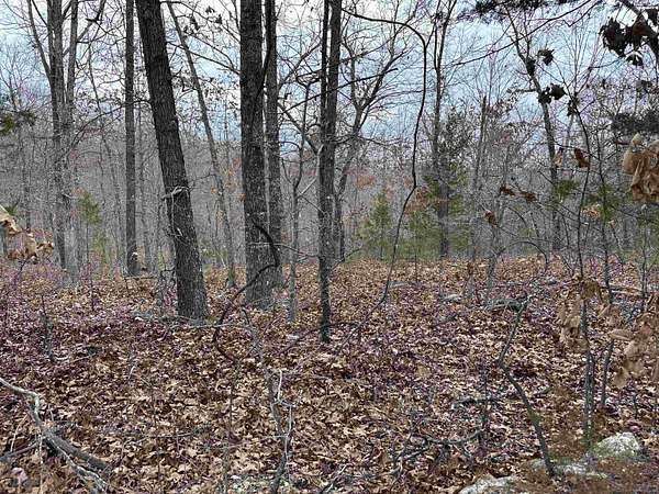 0.23 Acres of Residential Land for Sale in Cherokee Village, Arkansas