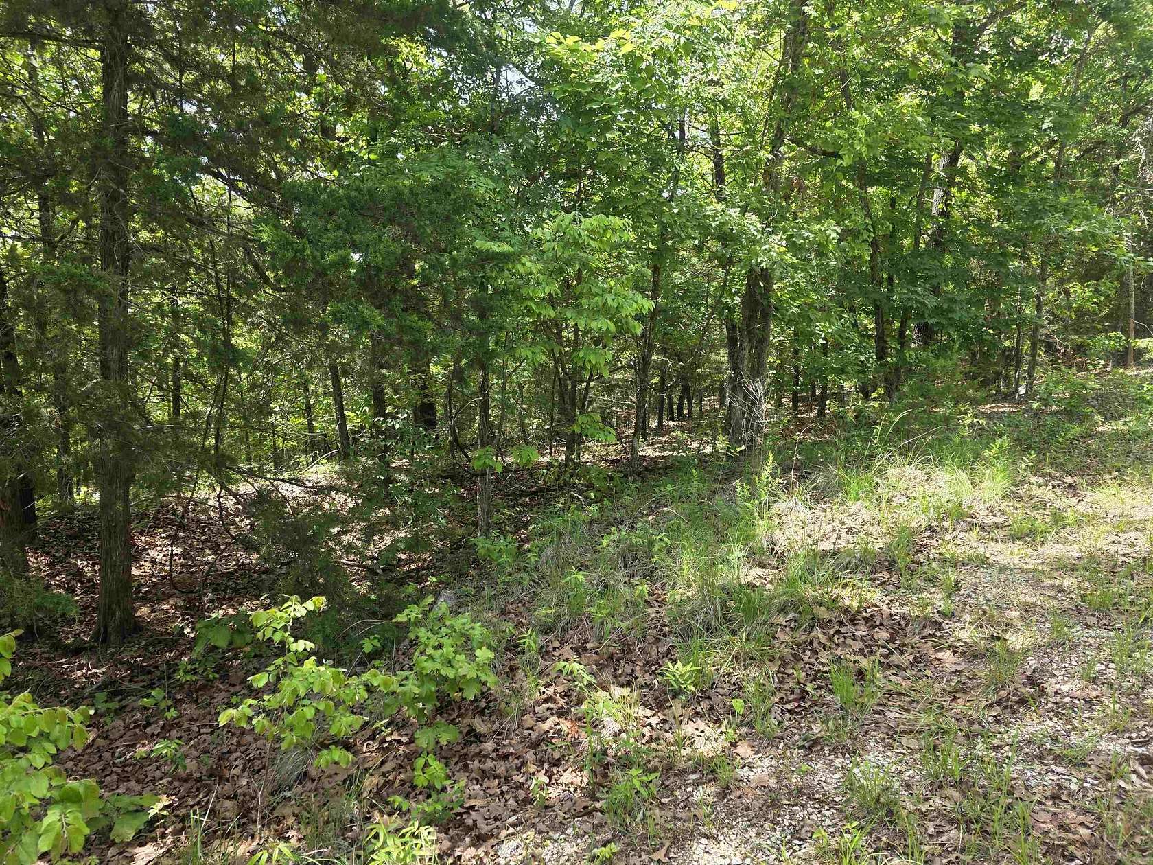 0.68 Acres of Residential Land for Sale in Cherokee Village, Arkansas