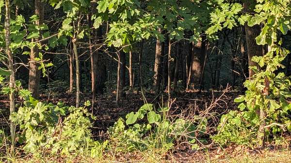 2.78 Acres of Residential Land for Sale in Cherokee Village, Arkansas
