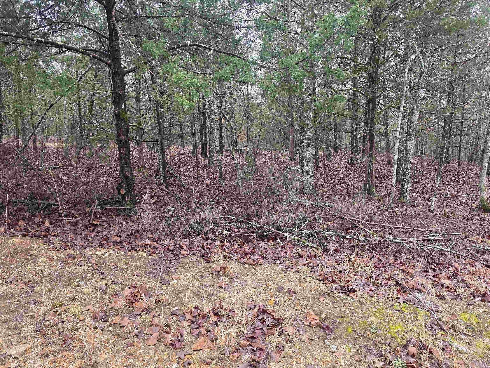 0.5 Acres of Residential Land for Sale in Cherokee Village, Arkansas