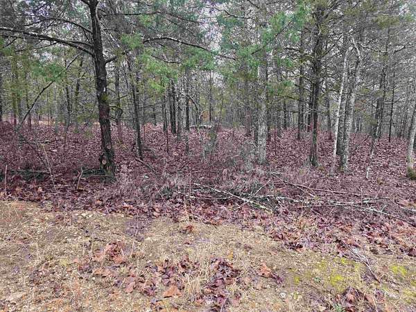 0.5 Acres of Residential Land for Sale in Cherokee Village, Arkansas