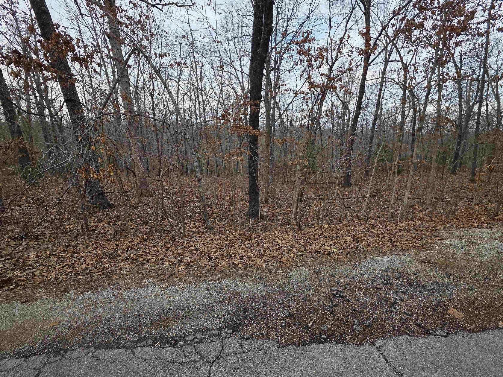 0.47 Acres of Residential Land for Sale in Cherokee Village, Arkansas