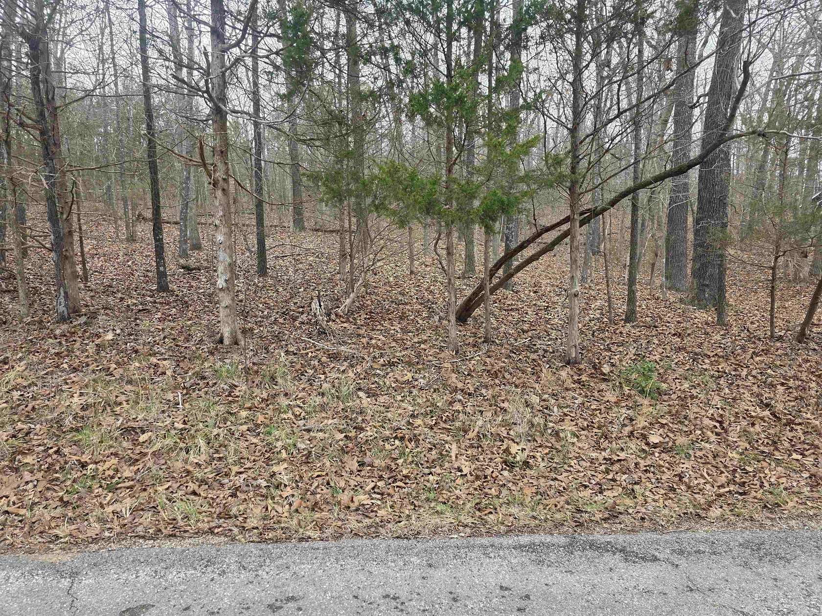 0.24 Acres of Residential Land for Sale in Cherokee Village, Arkansas