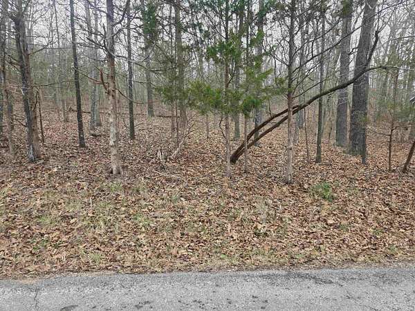 0.24 Acres of Residential Land for Sale in Cherokee Village, Arkansas