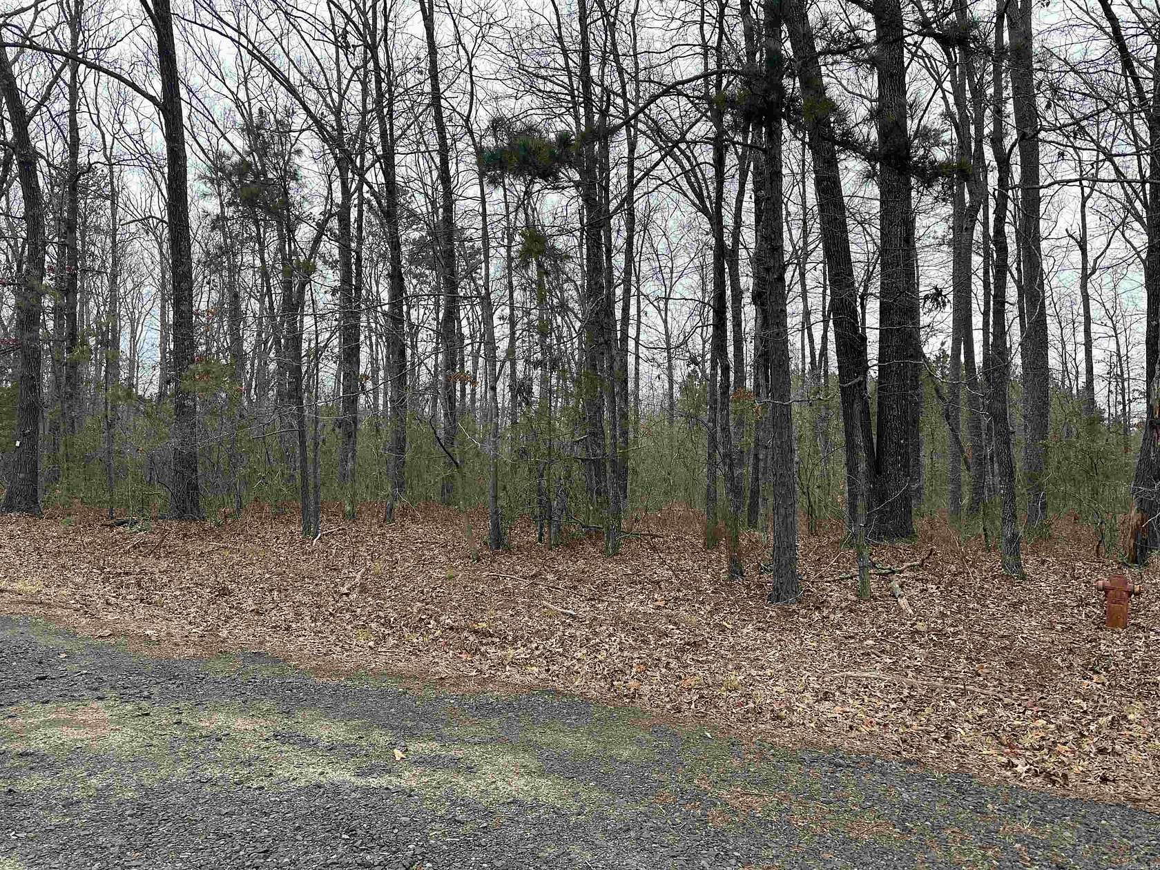 1 Acre of Land for Sale in Greers Ferry, Arkansas