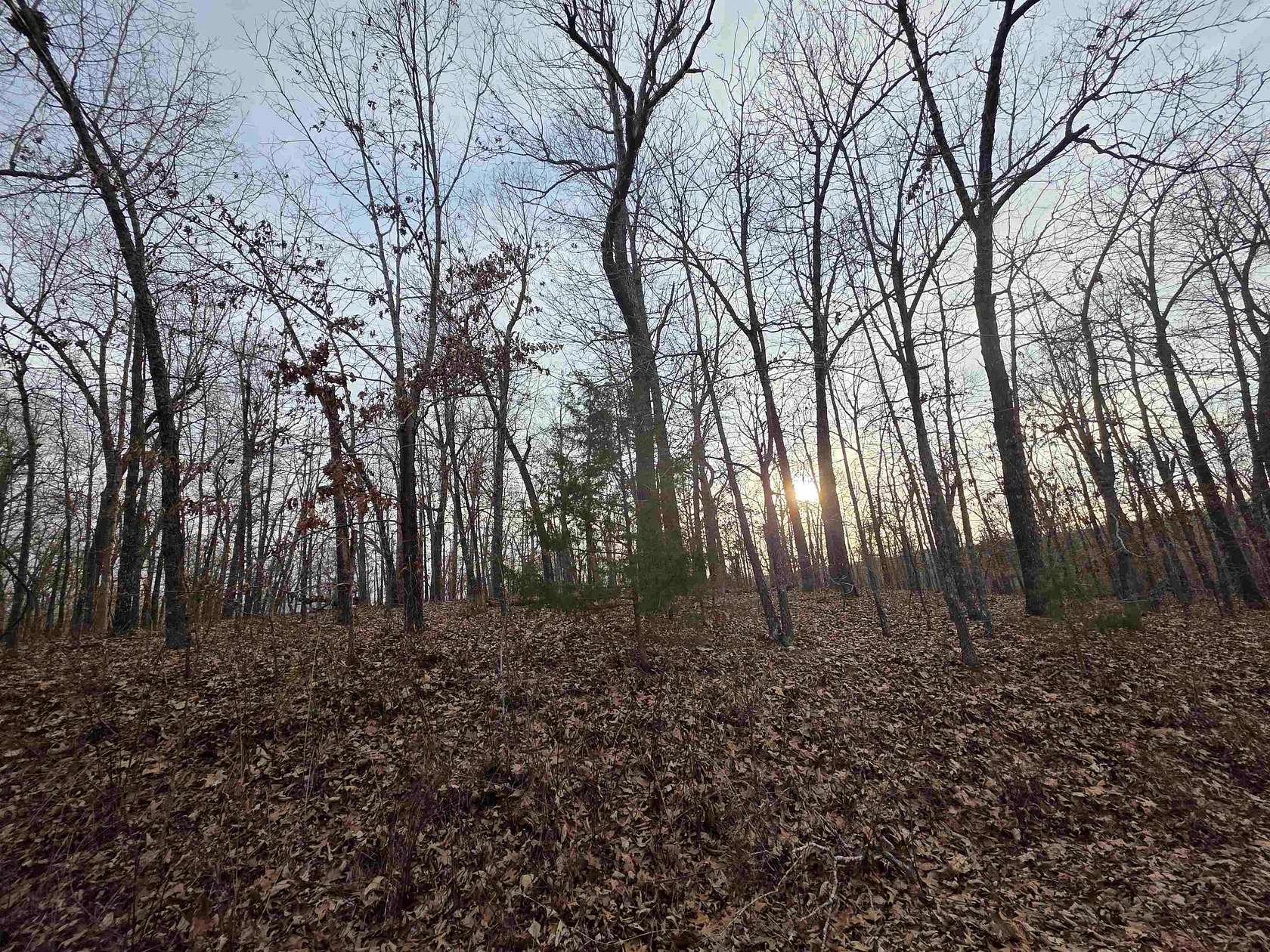 0.36 Acres of Residential Land for Sale in Cherokee Village, Arkansas
