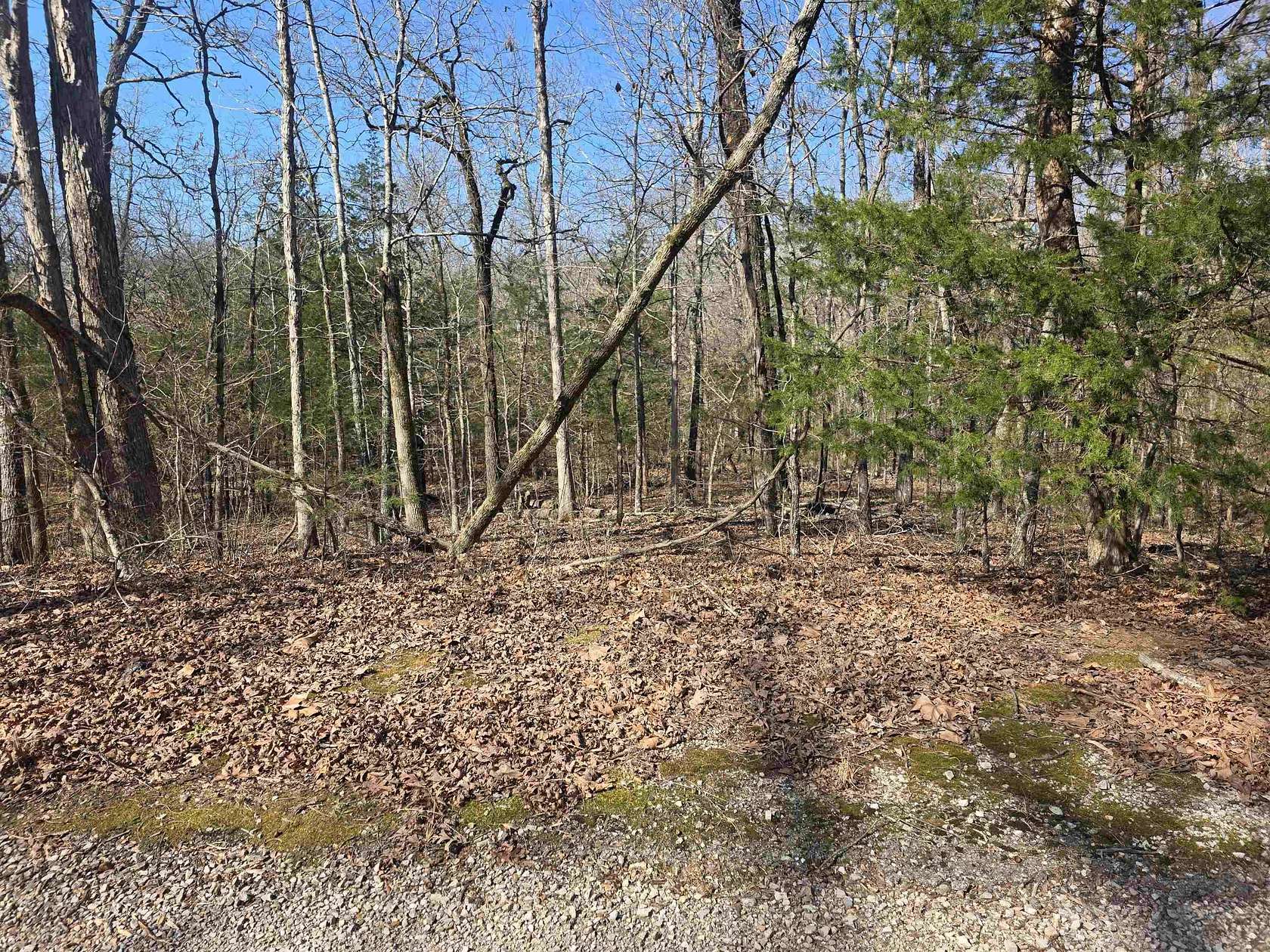0.29 Acres of Residential Land for Sale in Cherokee Village, Arkansas