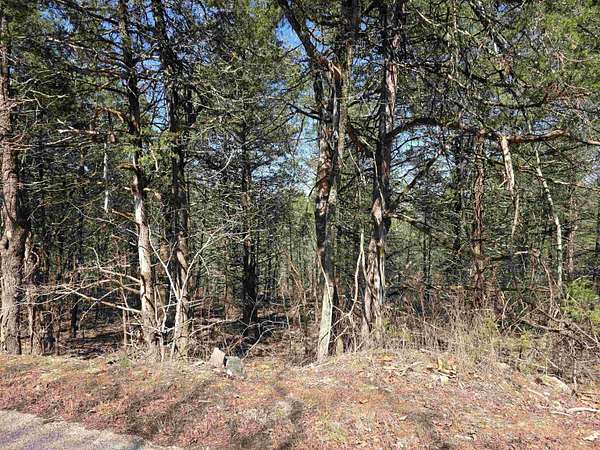 0.35 Acres of Residential Land for Sale in Cherokee Village, Arkansas