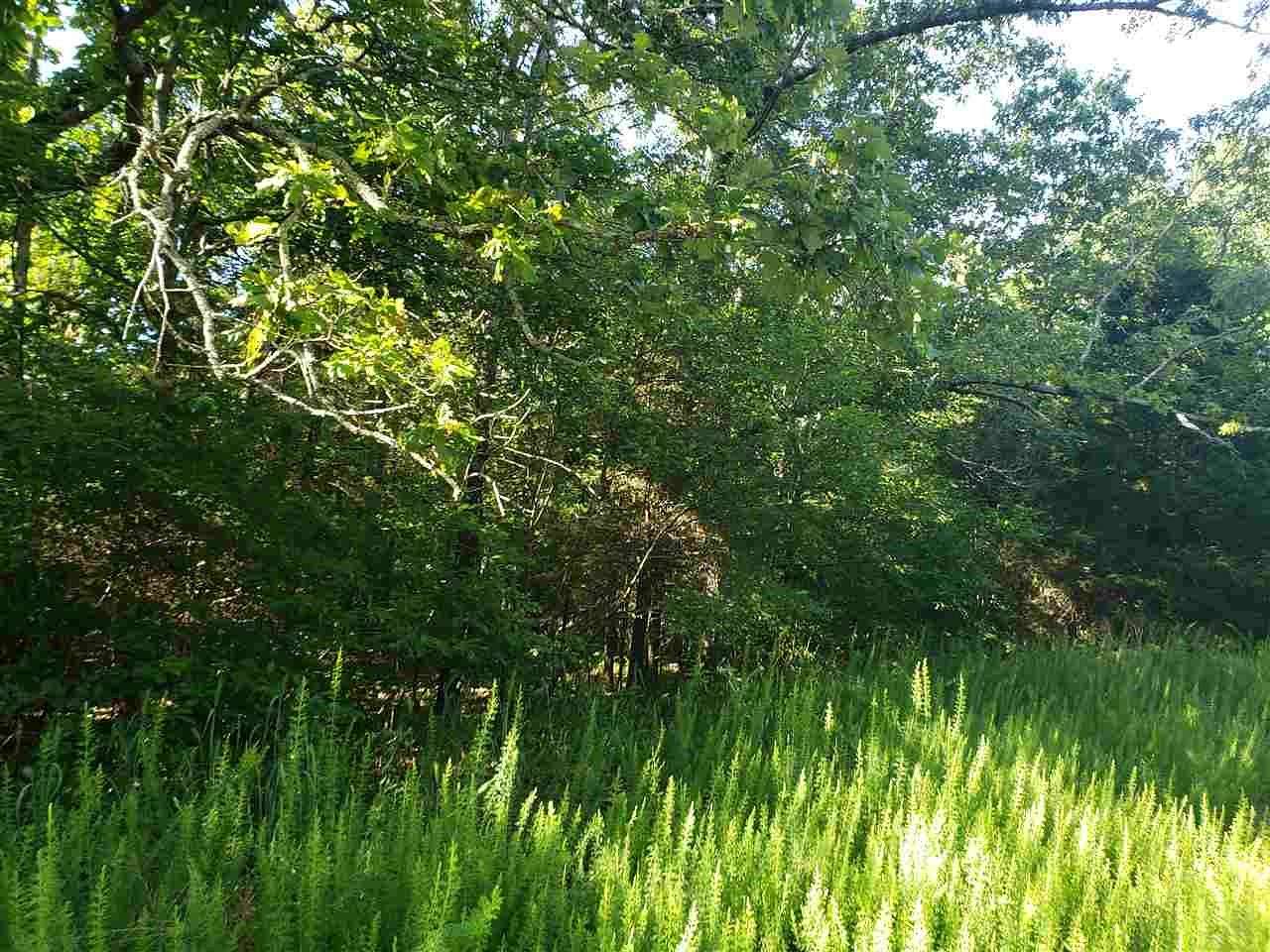 0.33 Acres of Residential Land for Sale in Cherokee Village, Arkansas