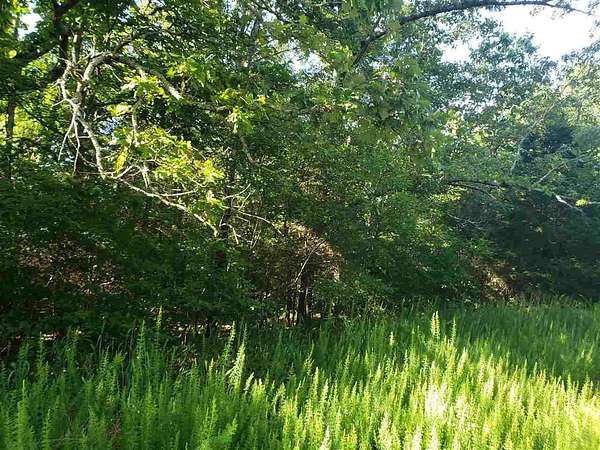0.33 Acres of Residential Land for Sale in Cherokee Village, Arkansas
