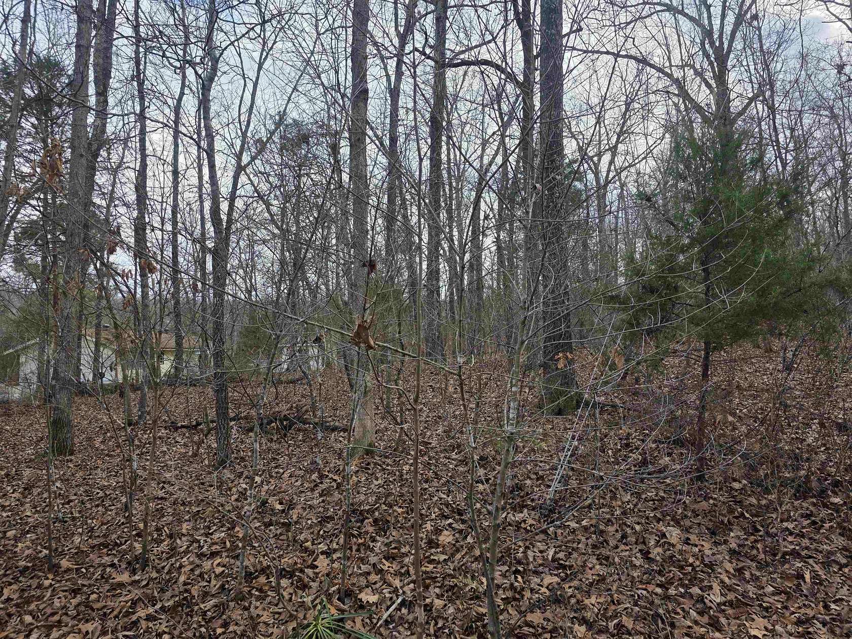0.39 Acres of Residential Land for Sale in Cherokee Village, Arkansas