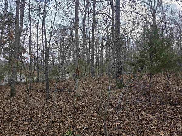 0.39 Acres of Residential Land for Sale in Cherokee Village, Arkansas