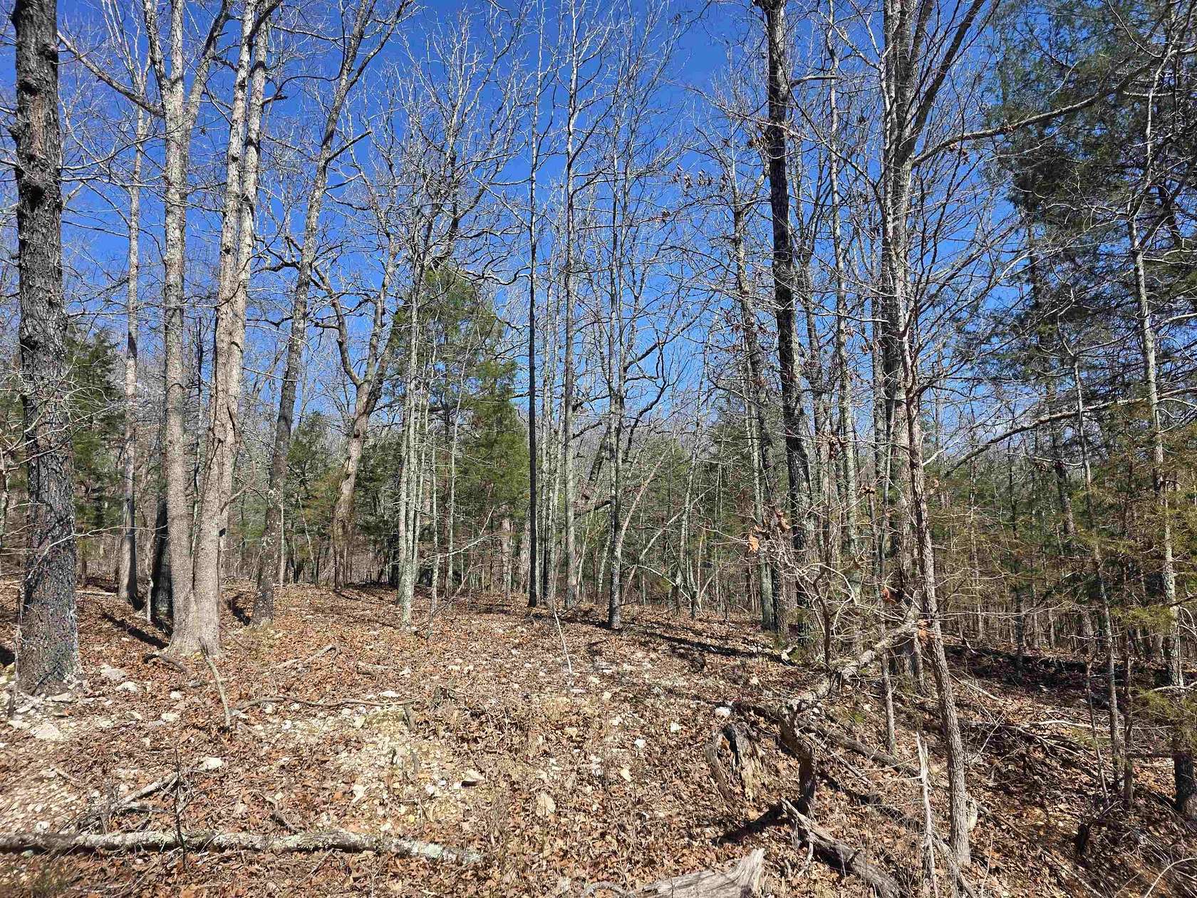 0.25 Acres of Residential Land for Sale in Cherokee Village, Arkansas