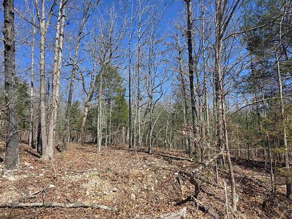0.25 Acres of Residential Land for Sale in Cherokee Village, Arkansas