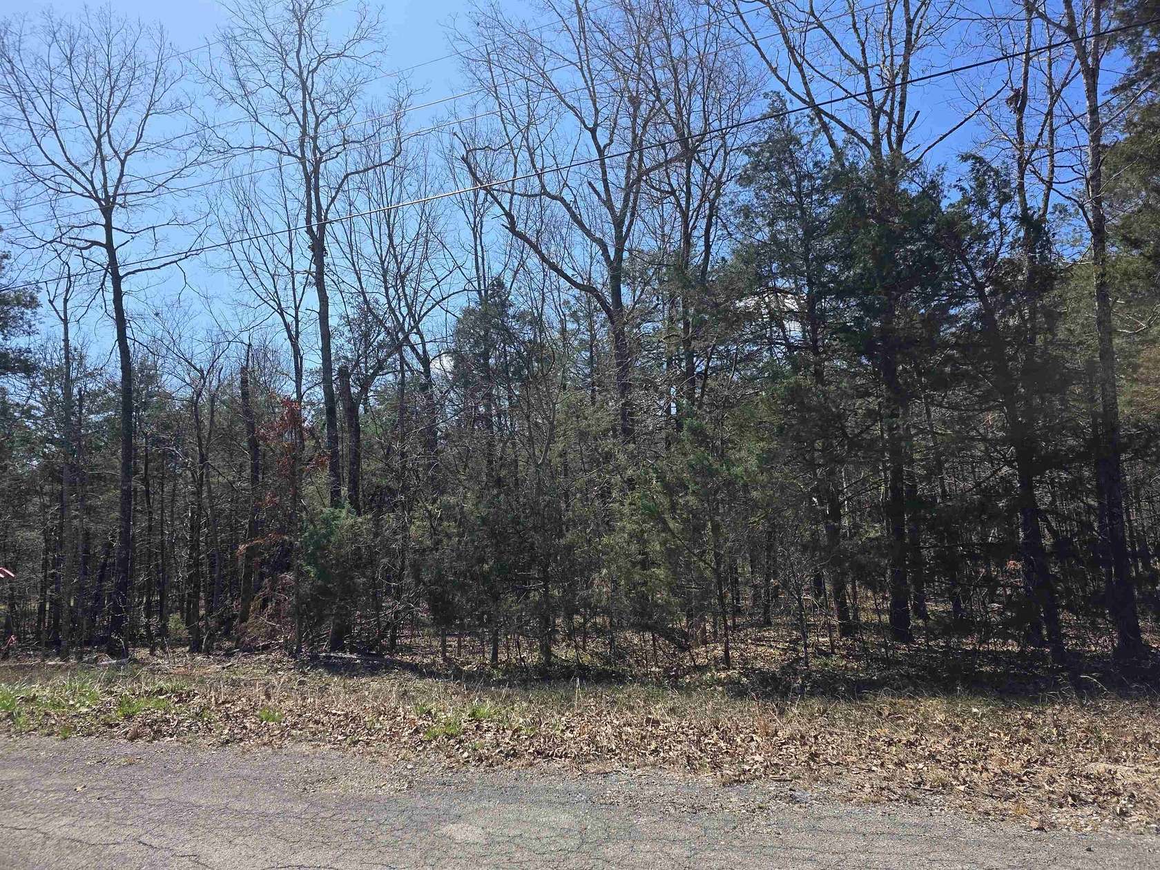 0.29 Acres of Residential Land for Sale in Cherokee Village, Arkansas