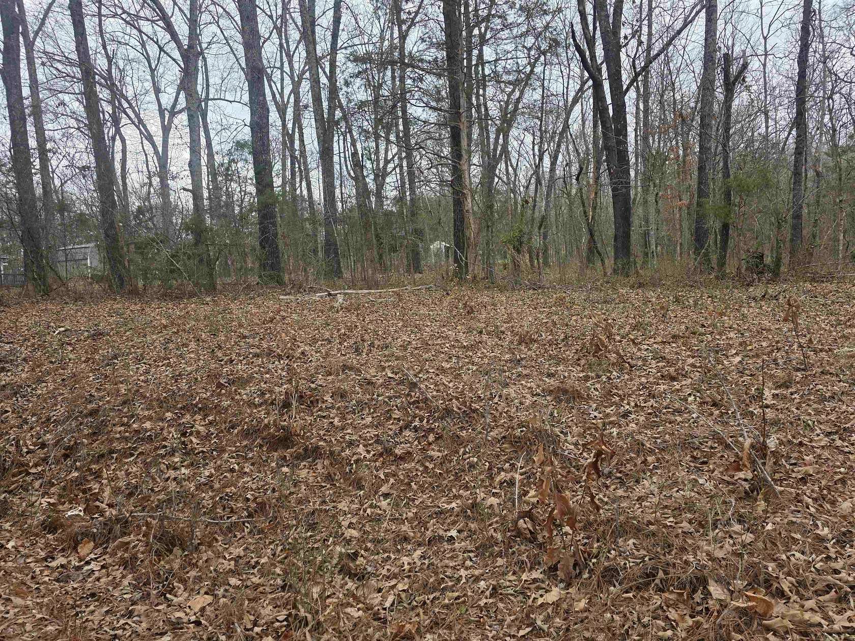 7.7 Acres of Residential Land for Sale in Cherokee Village, Arkansas