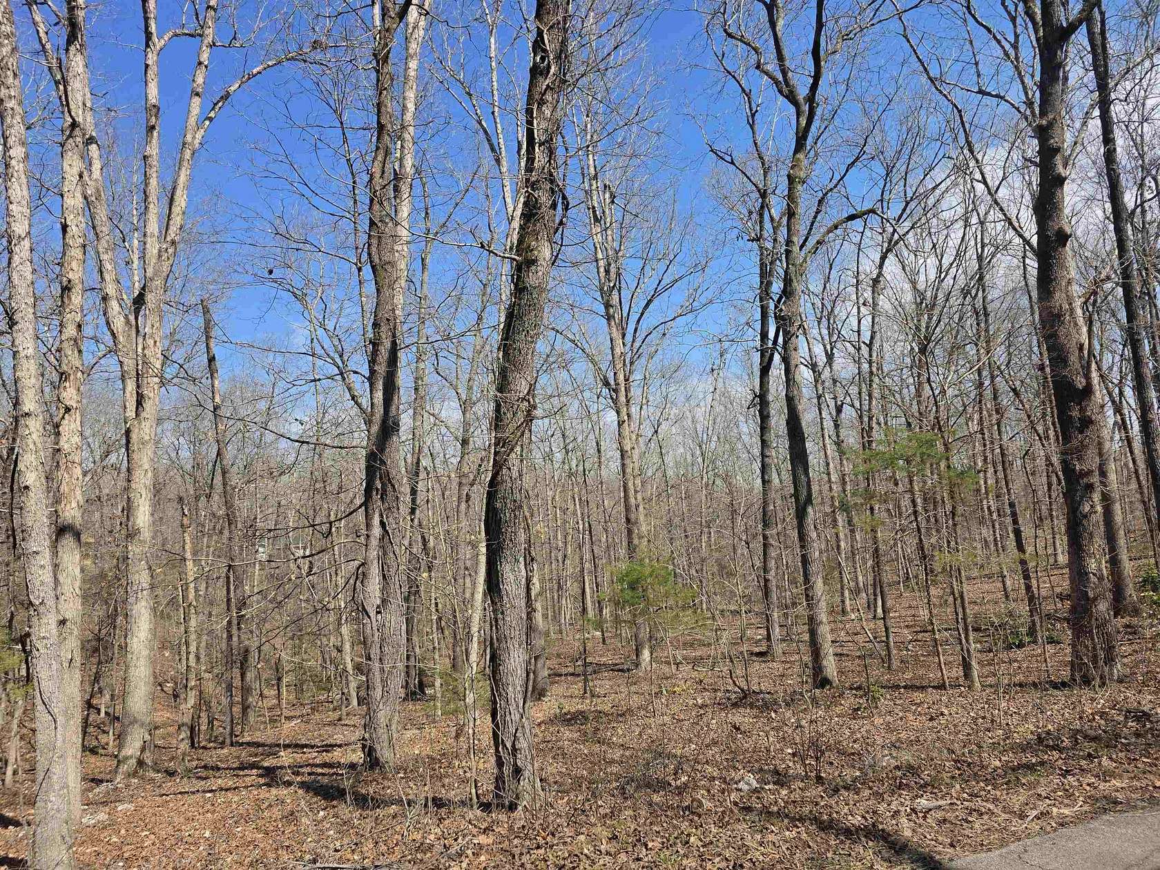 0.38 Acres of Residential Land for Sale in Cherokee Village, Arkansas