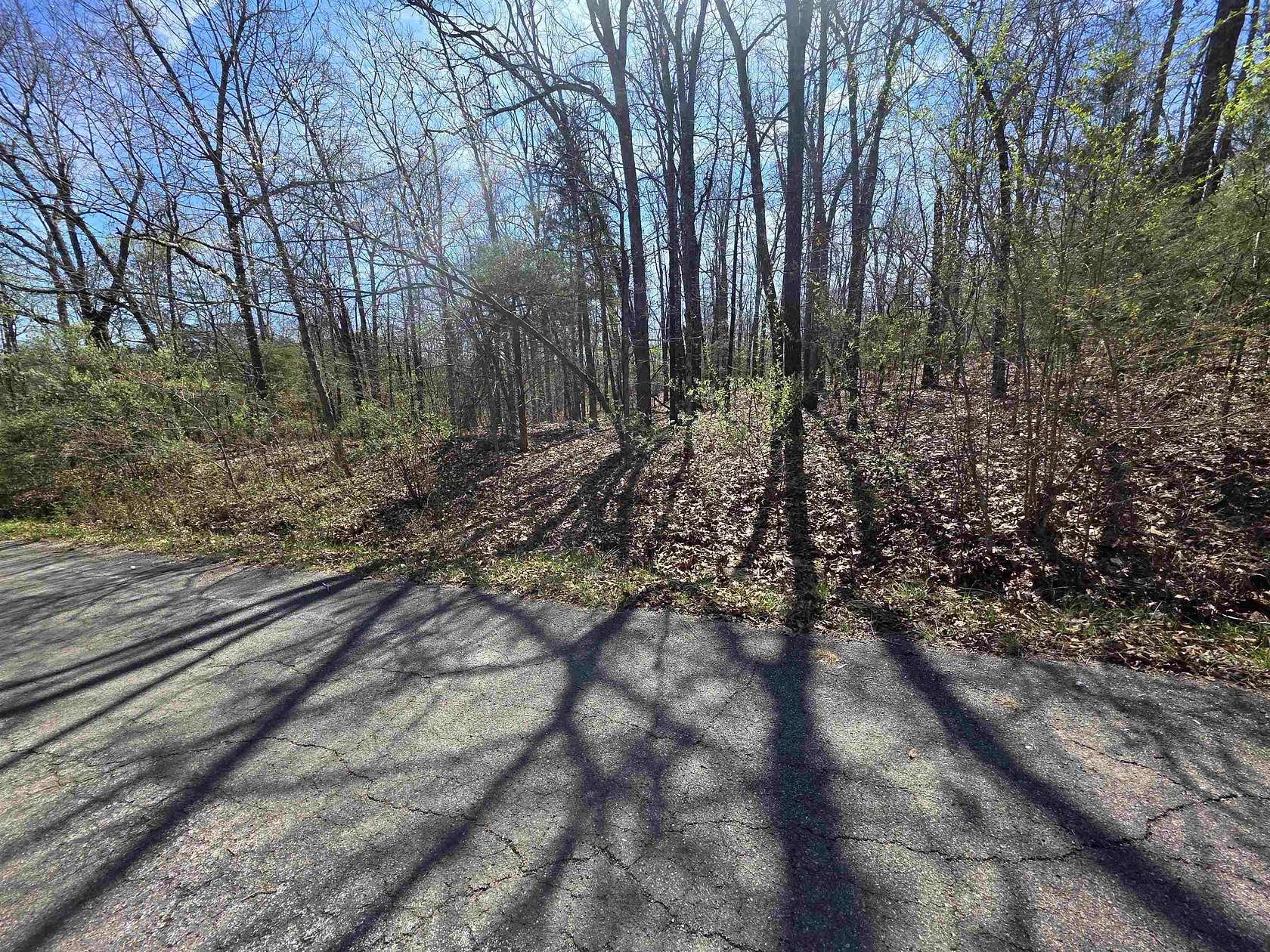 0.27 Acres of Residential Land for Sale in Cherokee Village, Arkansas
