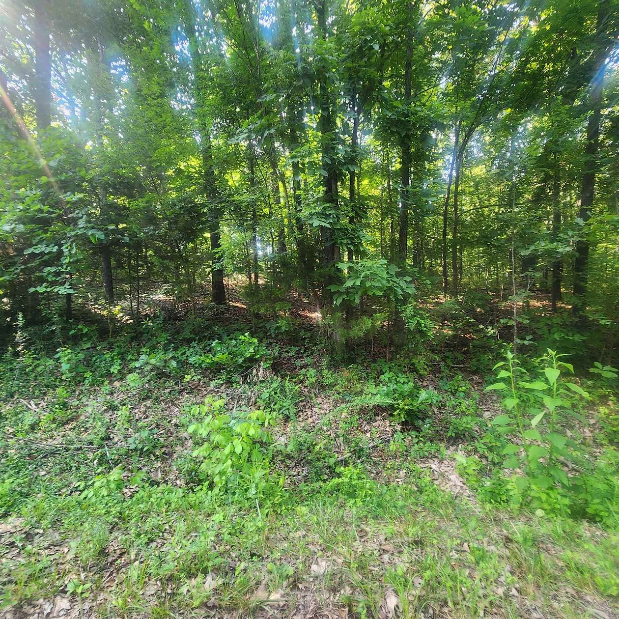 0.39 Acres of Residential Land for Sale in Cherokee Village, Arkansas