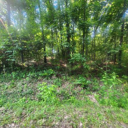 0.39 Acres of Residential Land for Sale in Cherokee Village, Arkansas