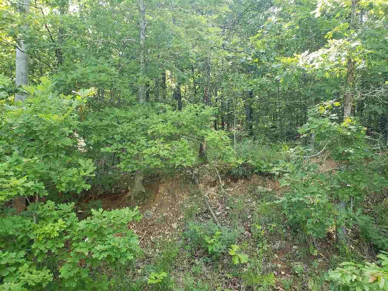 0.33 Acres of Residential Land for Sale in Cherokee Village, Arkansas