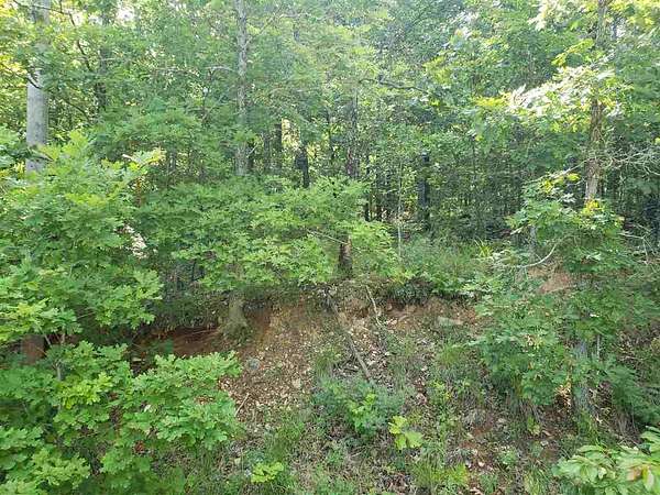 0.33 Acres of Residential Land for Sale in Cherokee Village, Arkansas