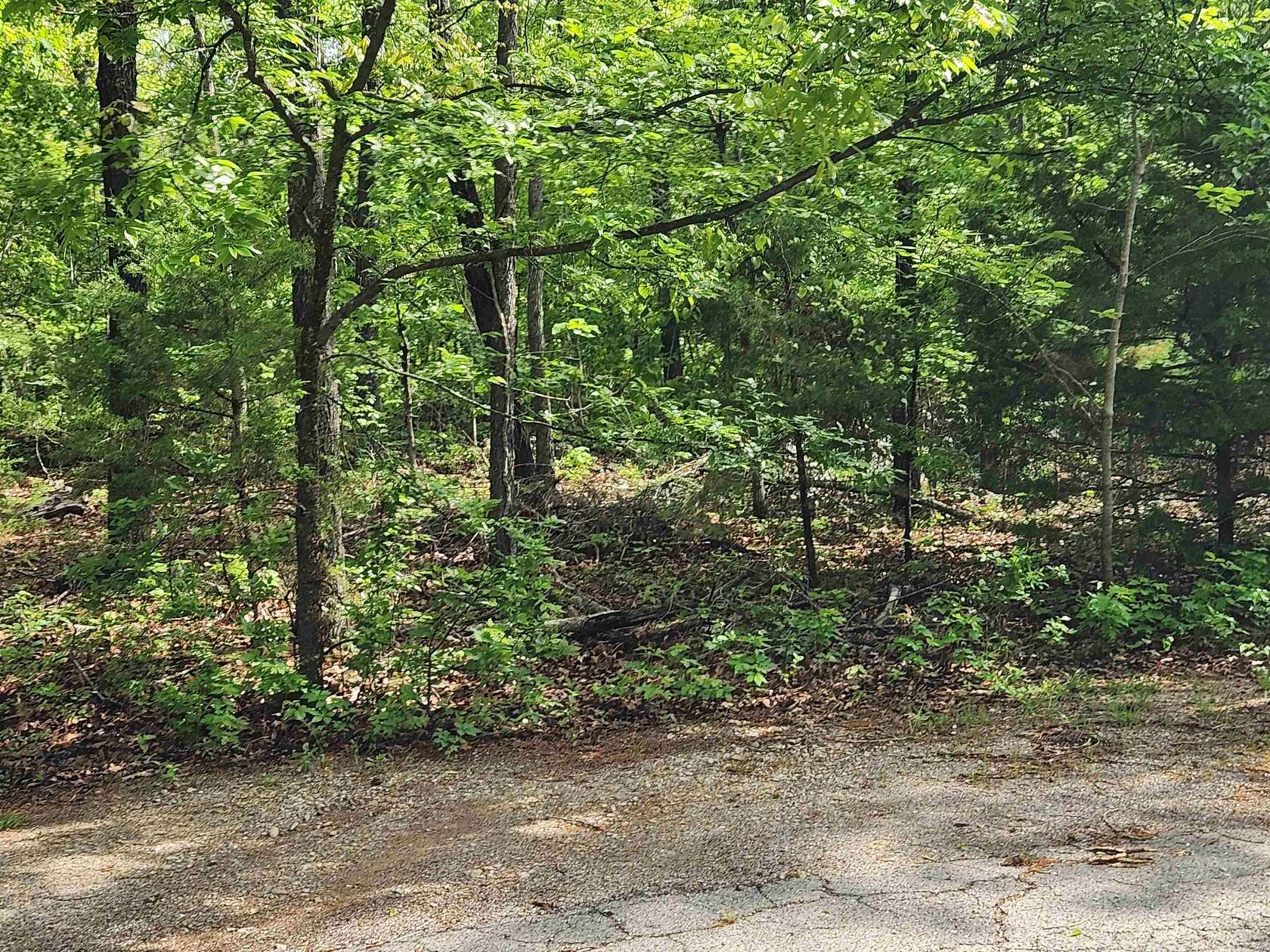 0.37 Acres of Residential Land for Sale in Cherokee Village, Arkansas