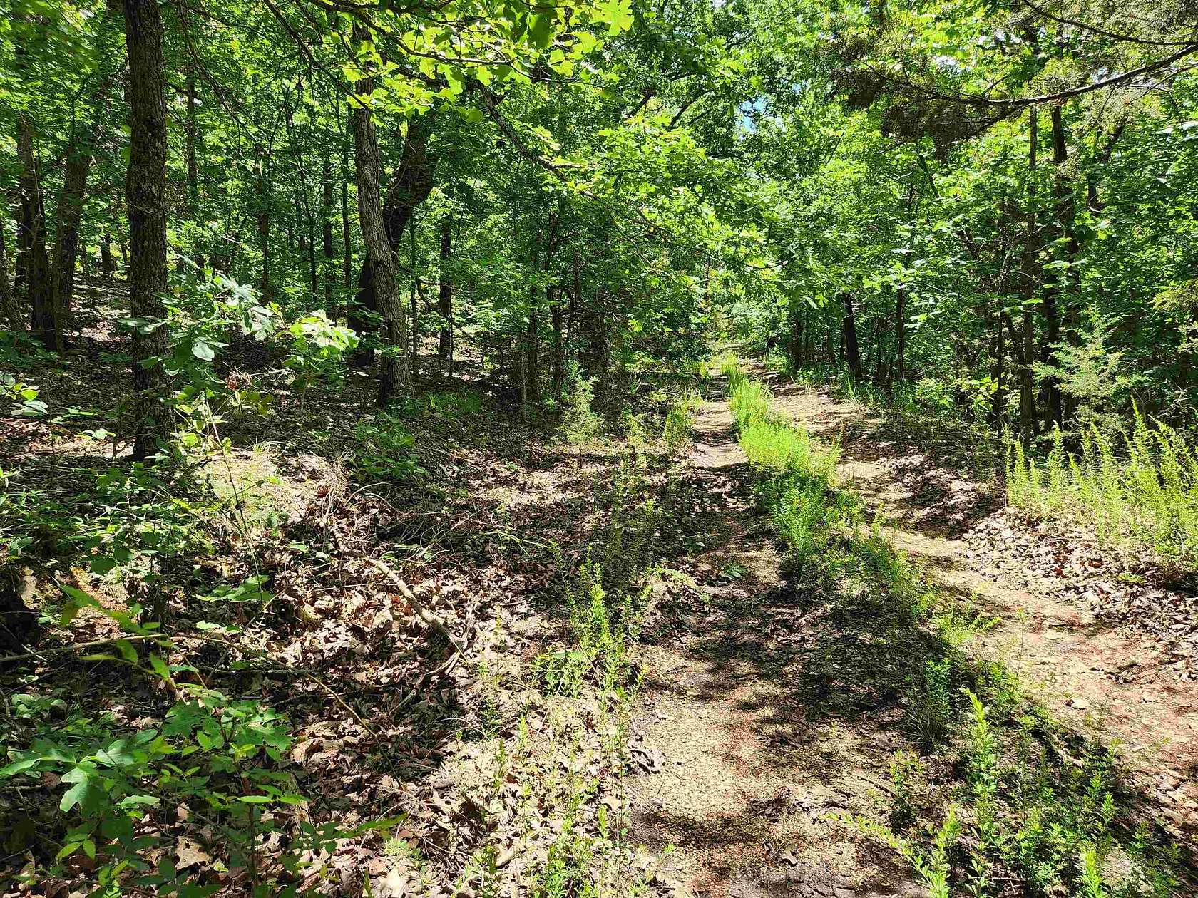 0.06 Acres of Residential Land for Sale in Highland, Arkansas