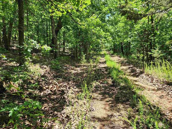 0.06 Acres of Residential Land for Sale in Highland, Arkansas