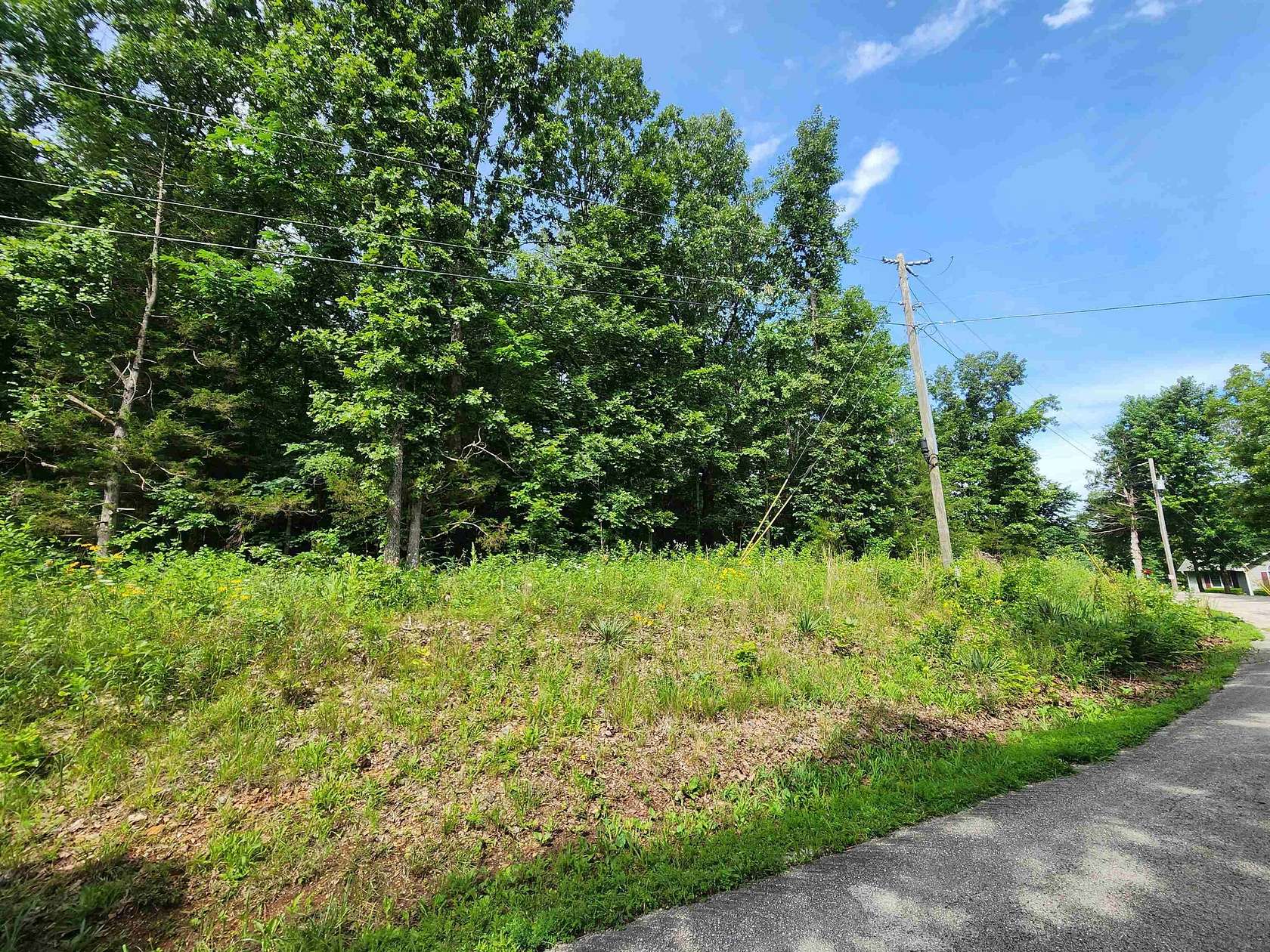 0.32 Acres of Residential Land for Sale in Cherokee Village, Arkansas