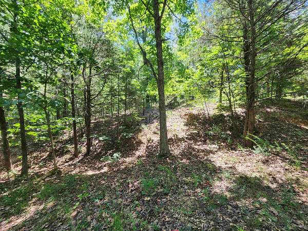 0.11 Acres of Land for Sale in Cherokee Village, Arkansas