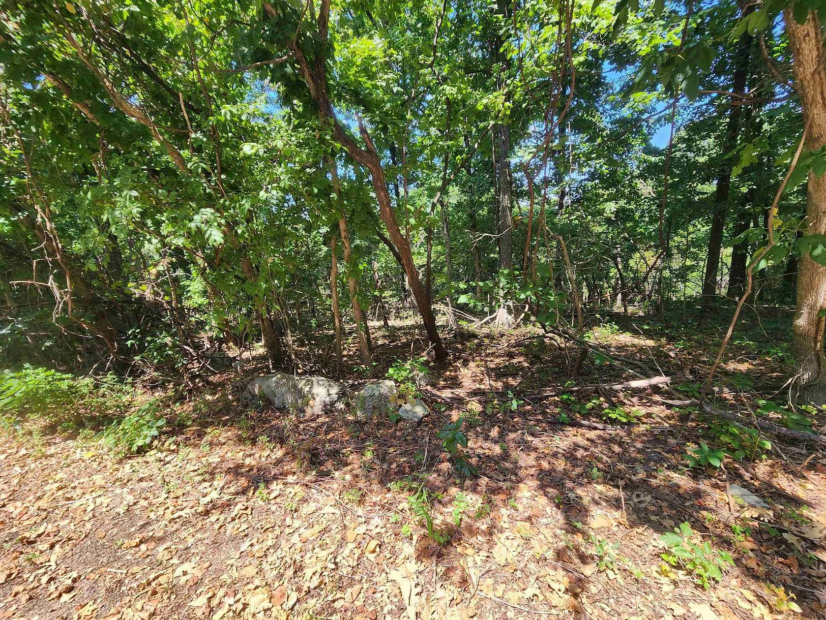 0.22 Acres of Residential Land for Sale in Cherokee Village, Arkansas