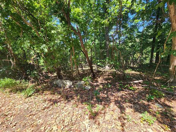0.22 Acres of Residential Land for Sale in Cherokee Village, Arkansas