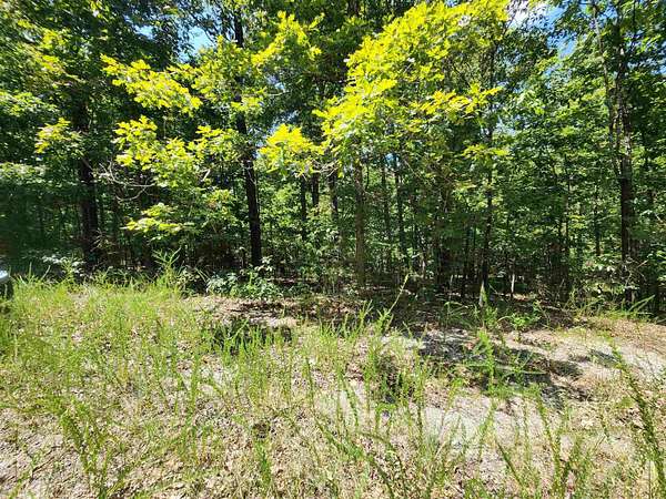 0.3 Acres of Residential Land for Sale in Cherokee Village, Arkansas