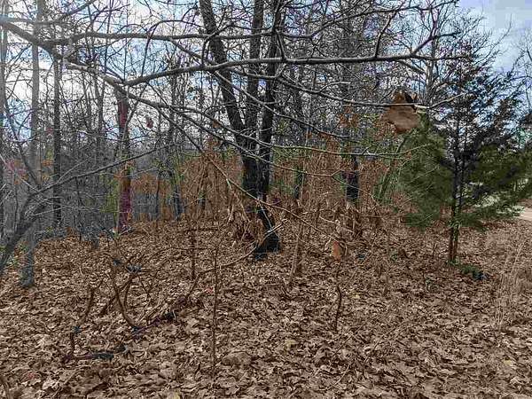 12 Acres of Land for Sale in Cherokee Village, Arkansas