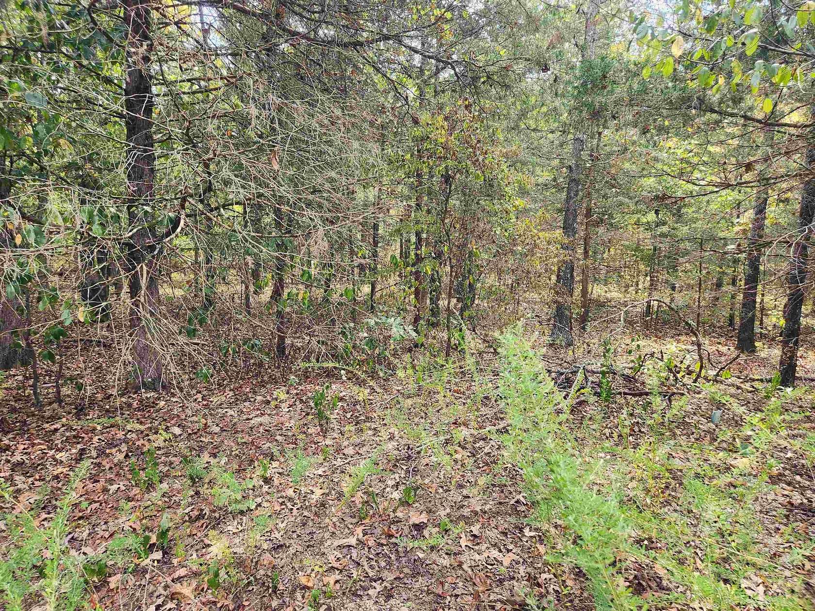 0.28 Acres of Residential Land for Sale in Cherokee Village, Arkansas
