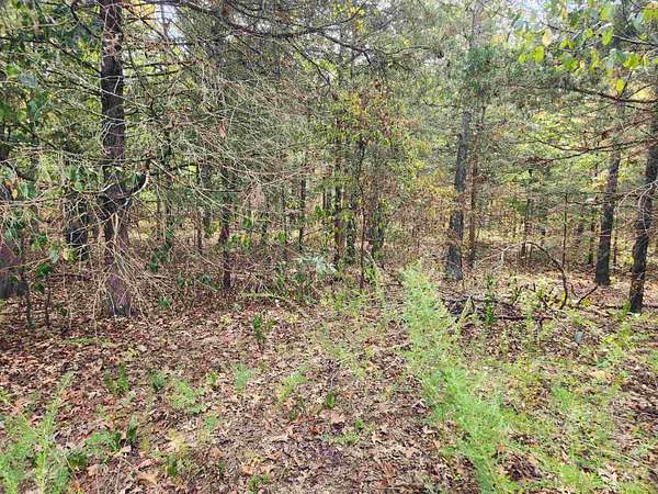 0.28 Acres of Residential Land for Sale in Cherokee Village, Arkansas