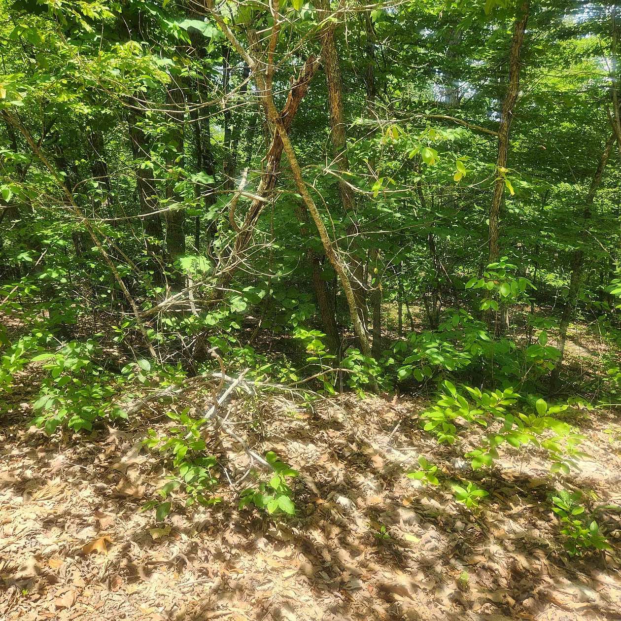 0.31 Acres of Residential Land for Sale in Cherokee Village, Arkansas
