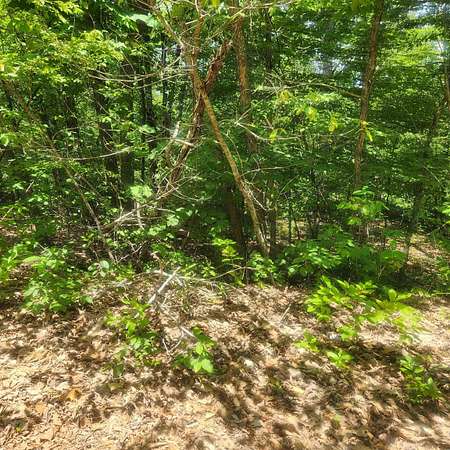 0.31 Acres of Residential Land for Sale in Cherokee Village, Arkansas