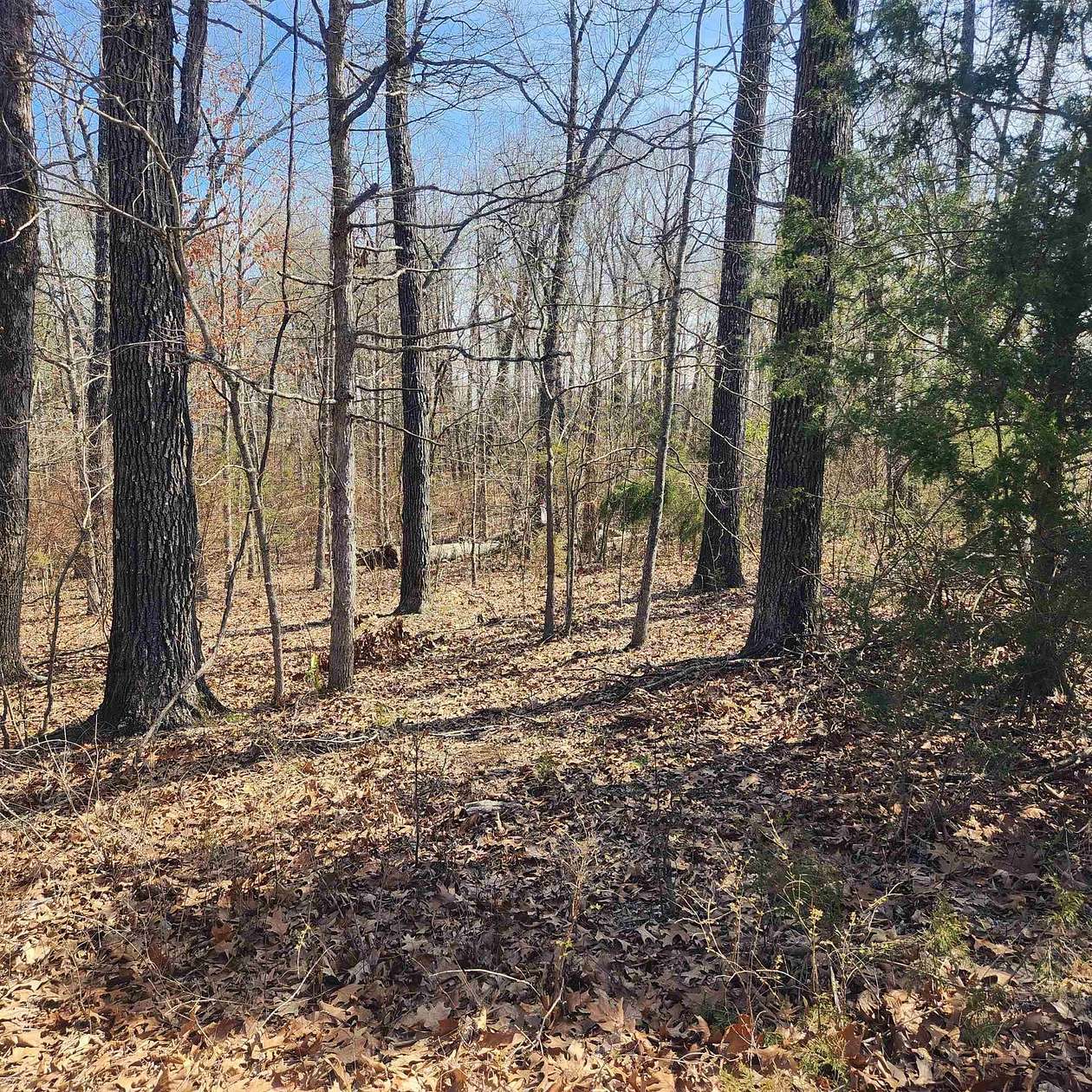 0.29 Acres of Residential Land for Sale in Cherokee Village, Arkansas