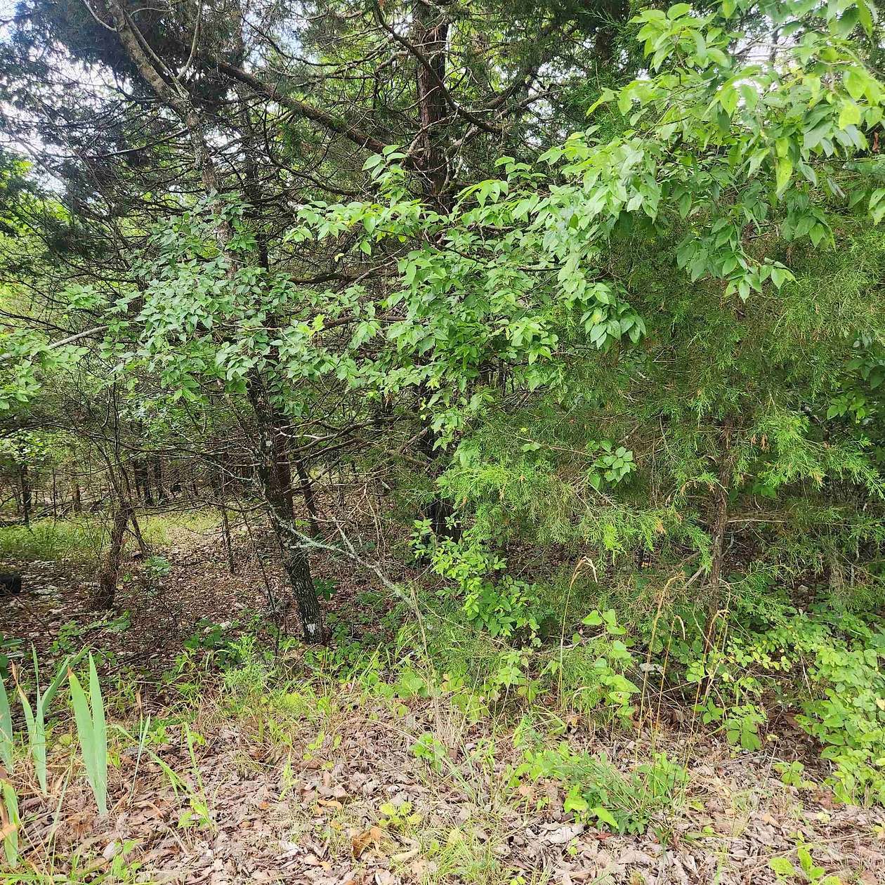 0.76 Acres of Residential Land for Sale in Cherokee Village, Arkansas