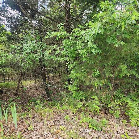 0.76 Acres of Residential Land for Sale in Cherokee Village, Arkansas