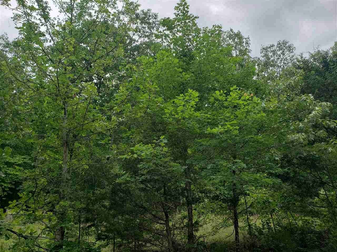 0.39 Acres of Residential Land for Sale in Cherokee Village, Arkansas