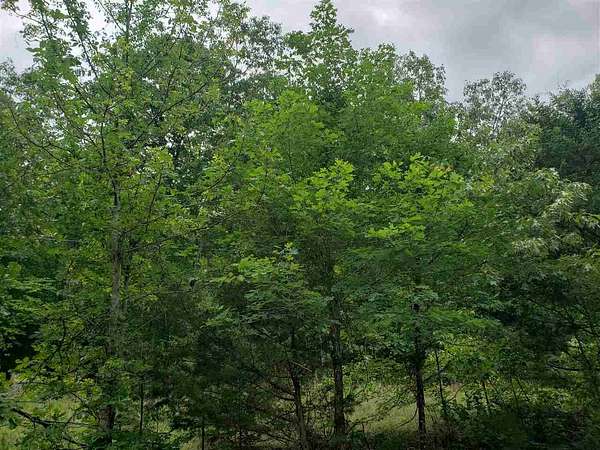 0.39 Acres of Residential Land for Sale in Cherokee Village, Arkansas