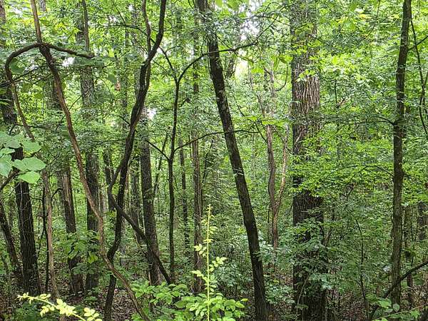 0.4 Acres of Residential Land for Sale in Cherokee Village, Arkansas